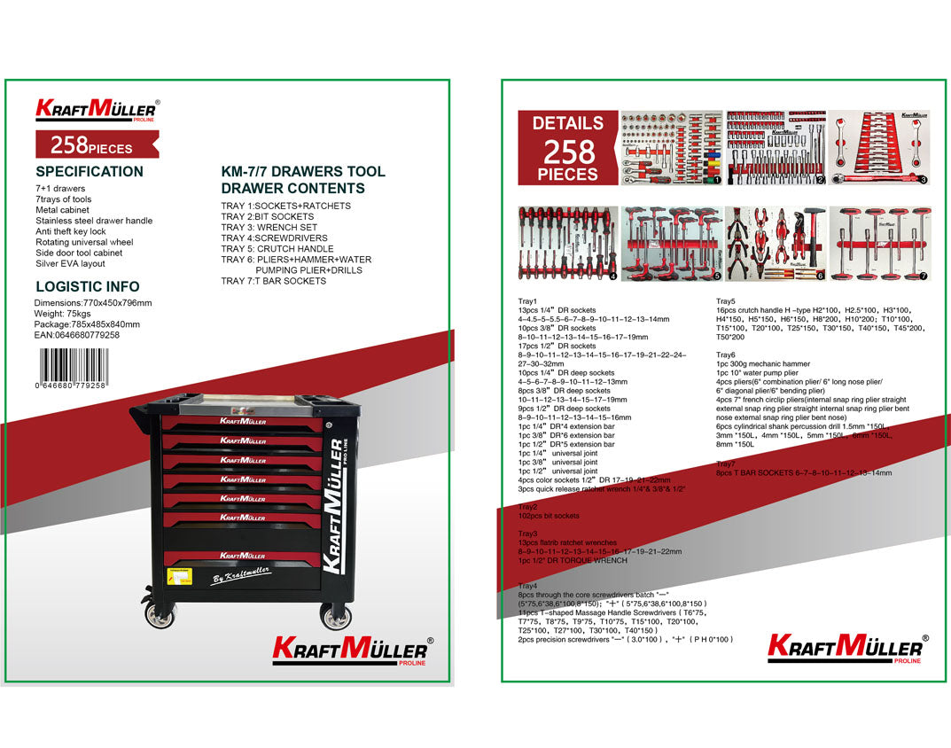 Professional trolley with 258 pcs tools