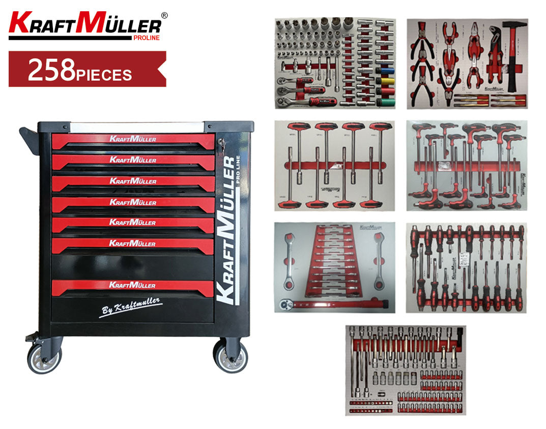 Professional trolley with 258 pcs tools