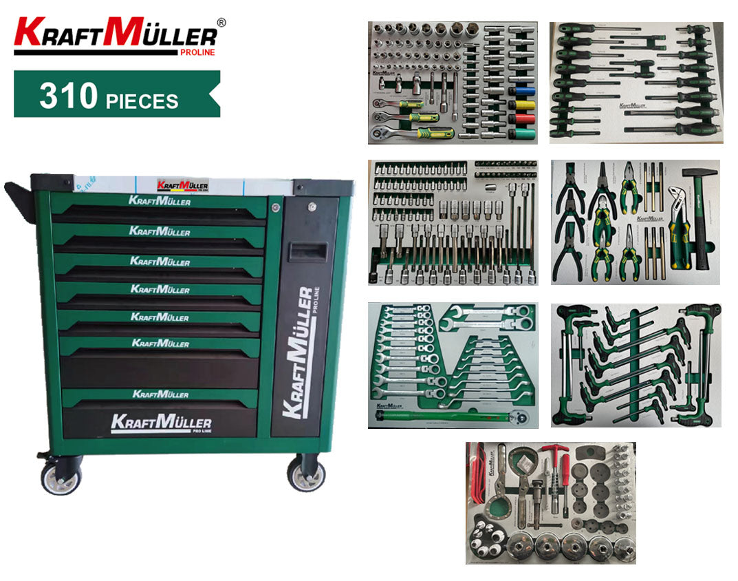 Professional trolley with 310 pcs tools